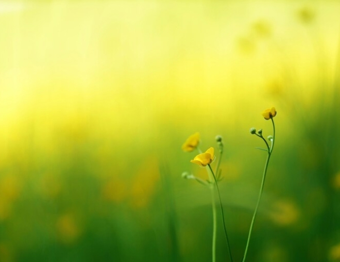 Общетерапевтическая - Лечебные программы - Санаторий «им. Тельмана» Железноводск