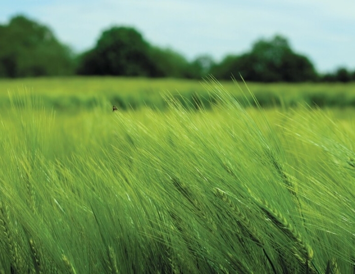 Программа «Отдых» - Лечебные программы - Санаторий «им. Тельмана» Железноводск