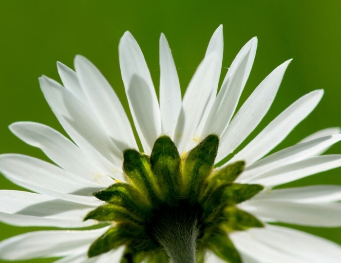 Неврологическая - Лечебные программы - Санаторий «им. Тельмана» Железноводск