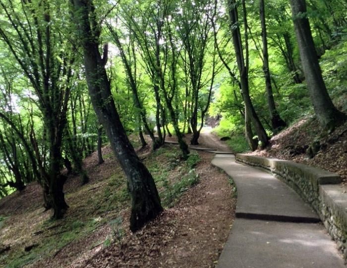 Терренкур - Оздоровительные услуги - Санаторий «им. Тельмана» Железноводск